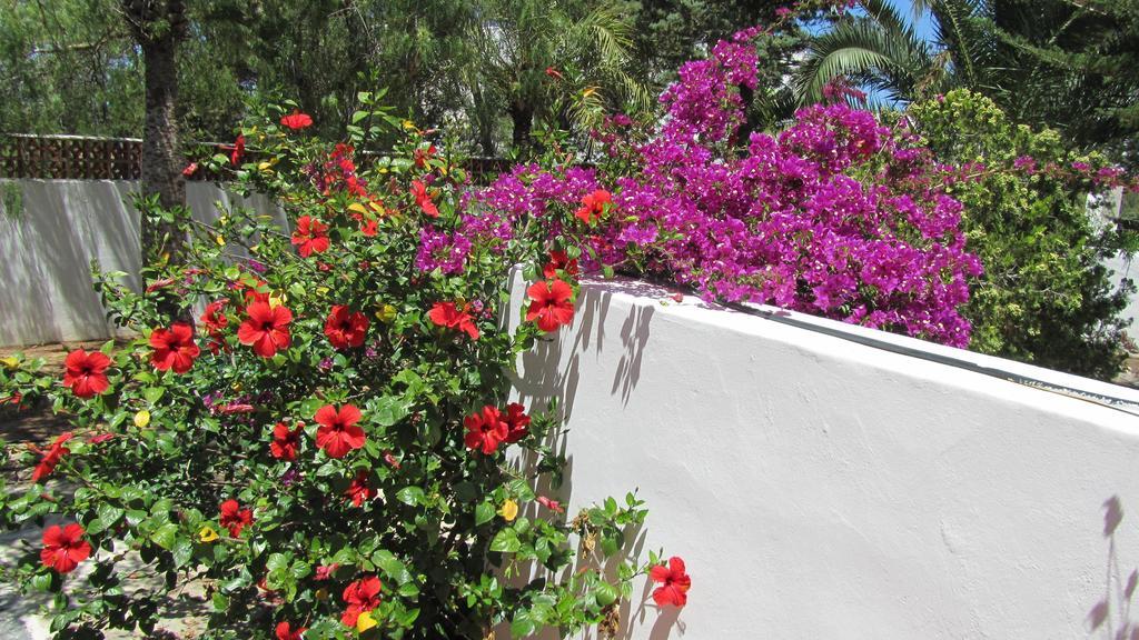 Villa Ca Daniela San Antonio Abad Exterior foto